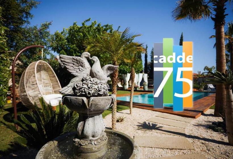 בית מלון כפרי Cadde 75