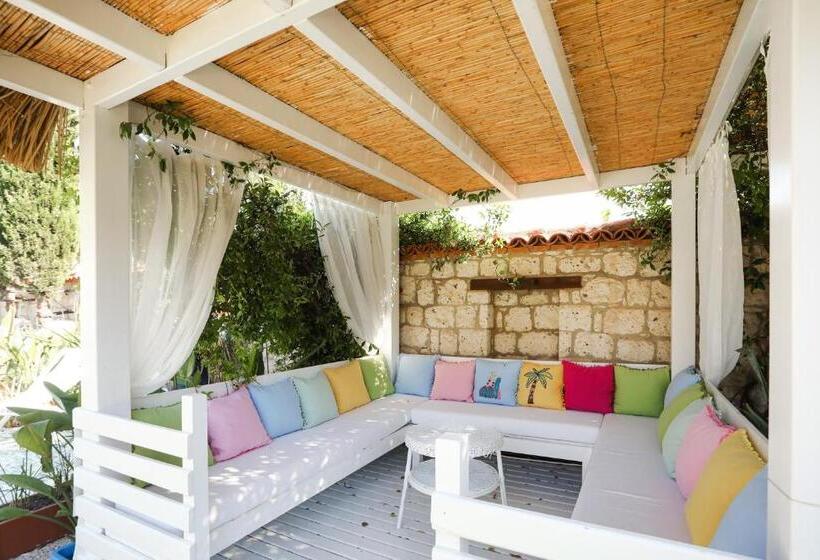 בית מלון כפרי Cadde 75