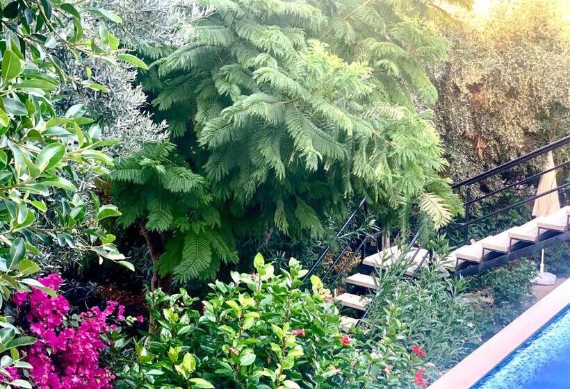 Club Hotel Barbarossa