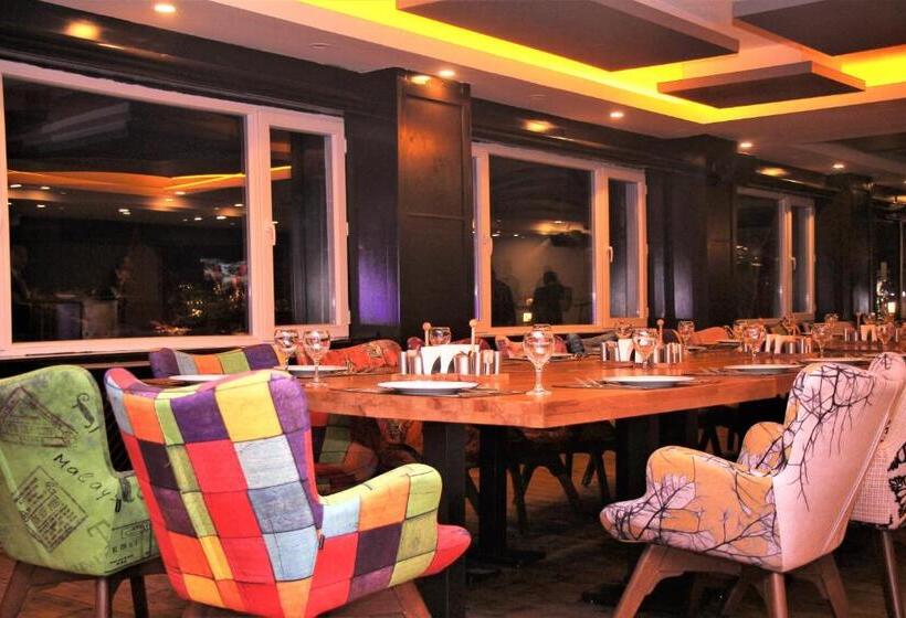 هتل Dedeman Palandoken Resort