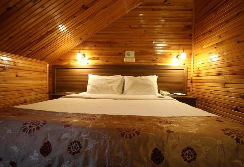 هتل Dedeman Palandoken Resort