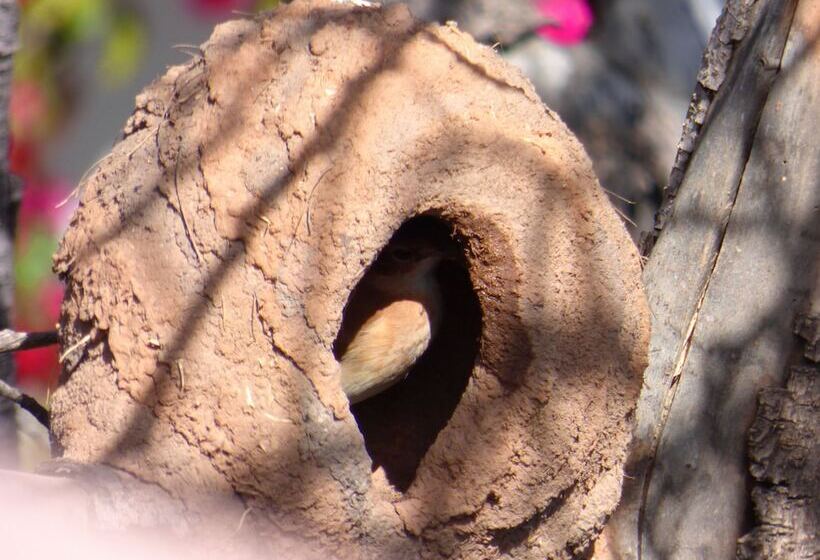 هتل Villa Antigua