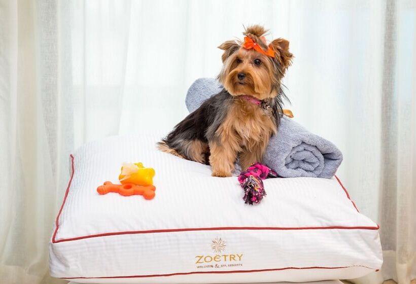 استراحتگاه Zoetry Agua Punta Cana   All Inclusive