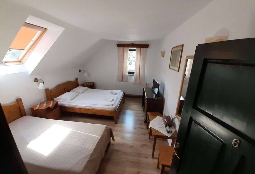 پانسیون Casa Kiraly Vendeghaz