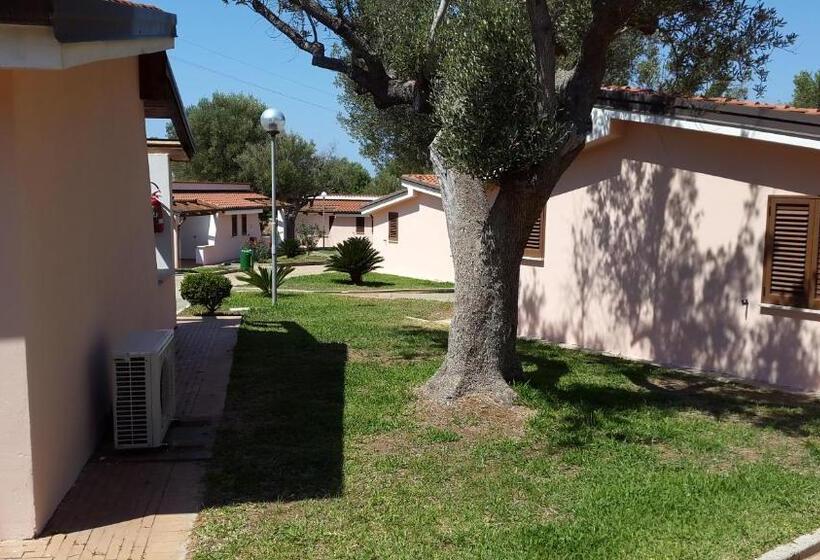 استراحتگاه Cilento Dreams Village