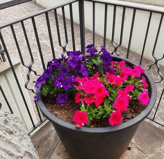 膳宿费 Casa Vacanze Da Cinzia