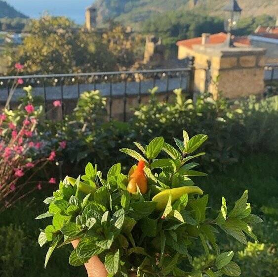 تختخواب و صبحانه Arıklı Han Kazdağları