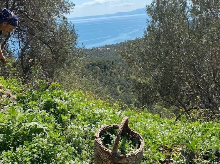 تختخواب و صبحانه Arıklı Han Kazdağları
