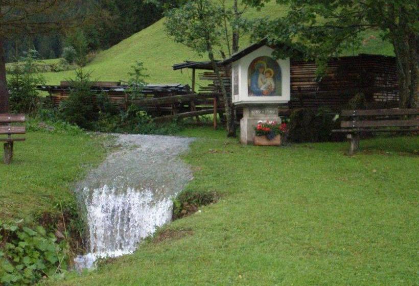 بنسيون Alpenhof Alt Lähn