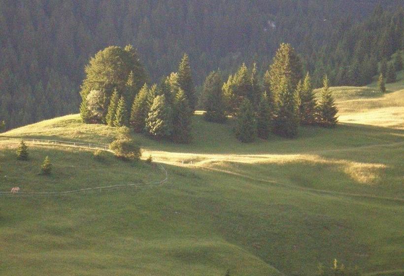 بنسيون Alpenhof Alt Lähn