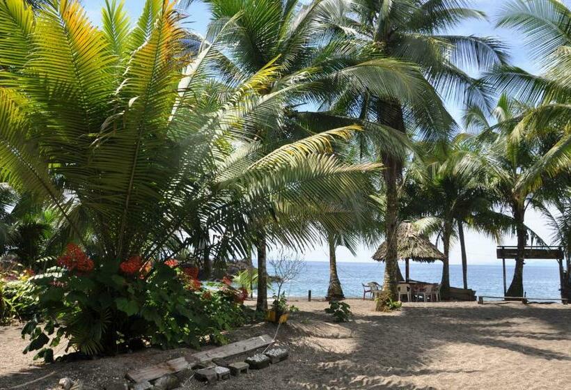 پانسیون Peñas De Guachalito