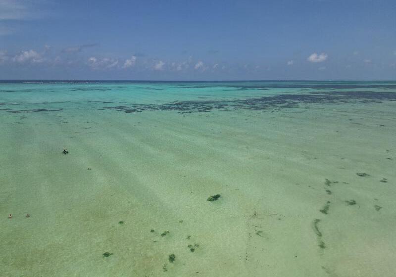 בית מלון כפרי The Nest Boutique Resort