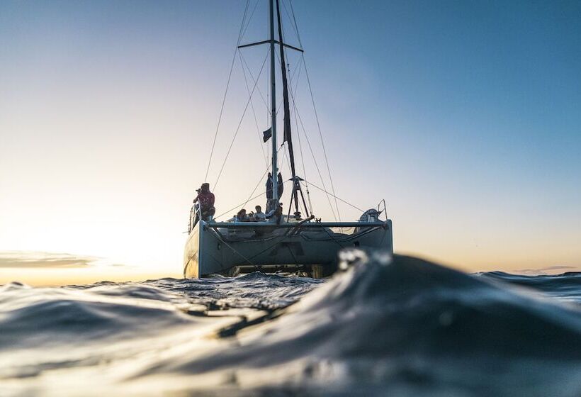 בית מלון כפרי The Nest Boutique Resort