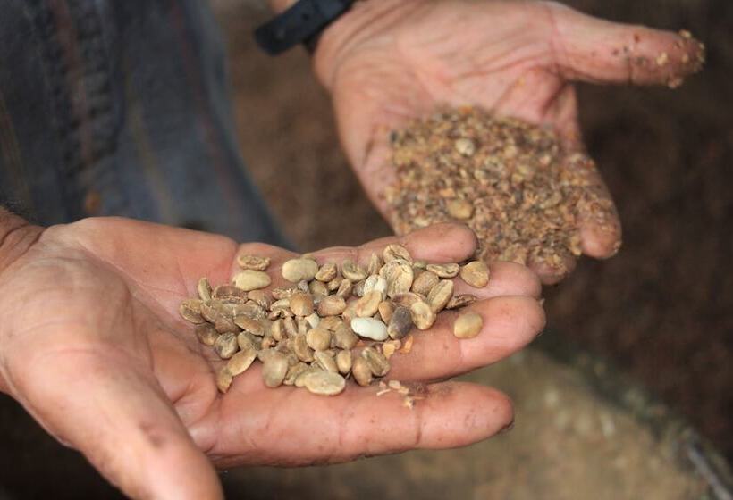 پانسیون Casa Fragata