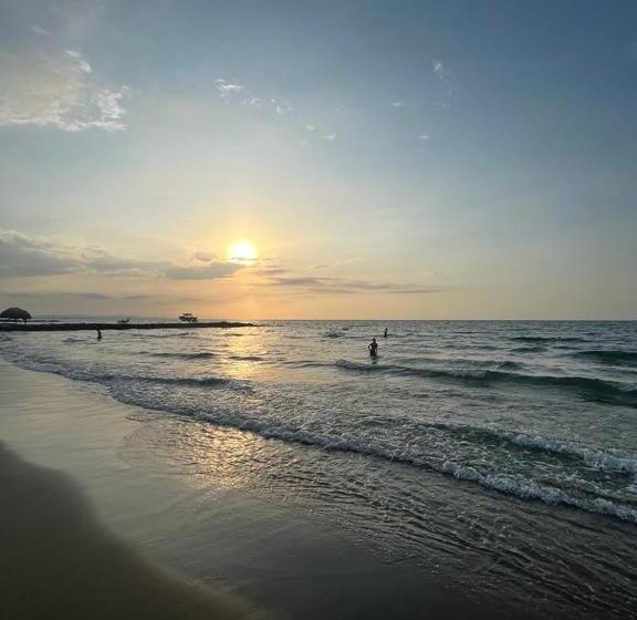 پانسیون Manglearena