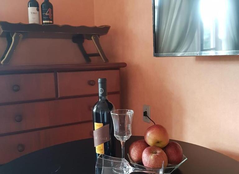 פנסיון Pousada Vó Aia