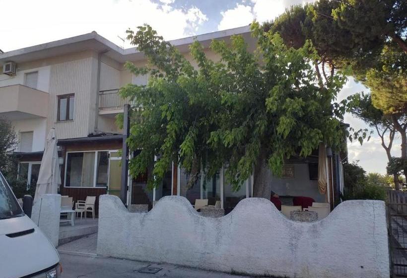 بنسيون Room In Bb   Quadruple Room In Pineto   A Stones Throw From The Sea