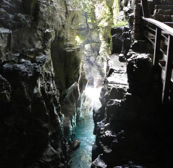 ペンション Palazzo Don Carlo