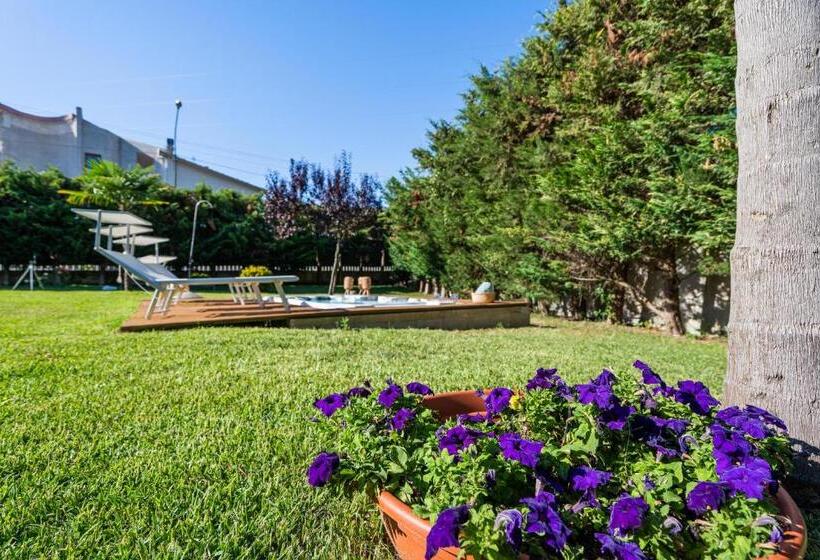 تختخواب و صبحانه Musae Apartments