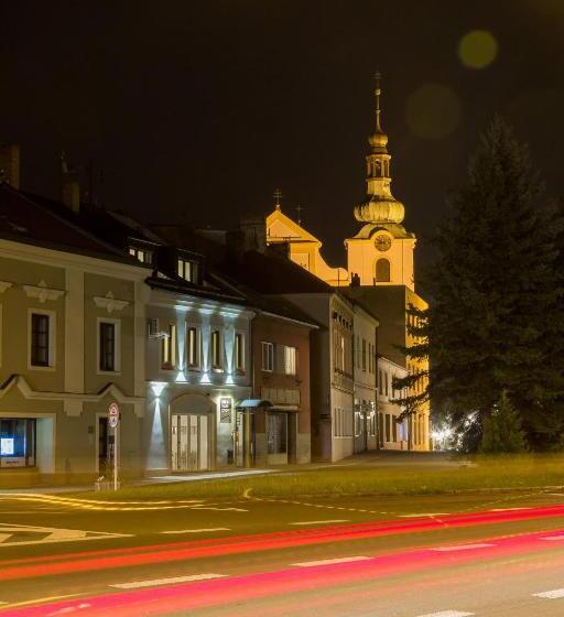 پانسیون & Gallery Kopacka