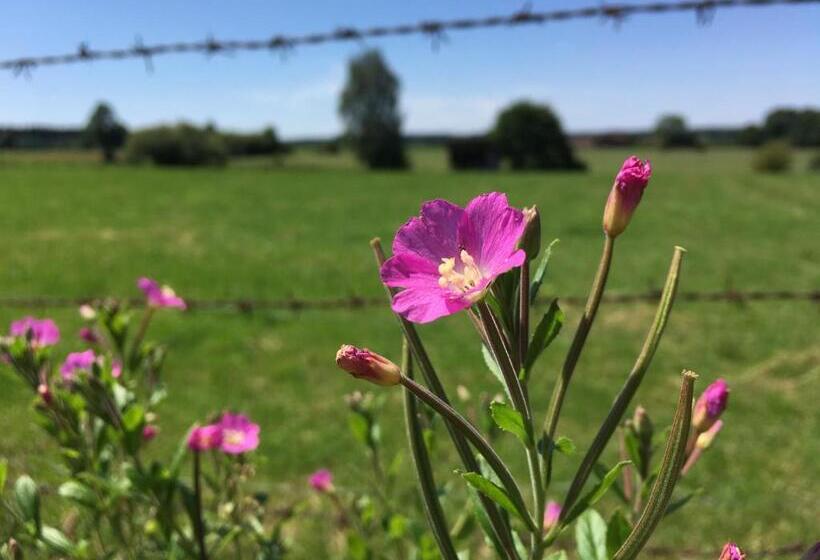 호텔 Bayernwinkel   Yoga & Ayurveda