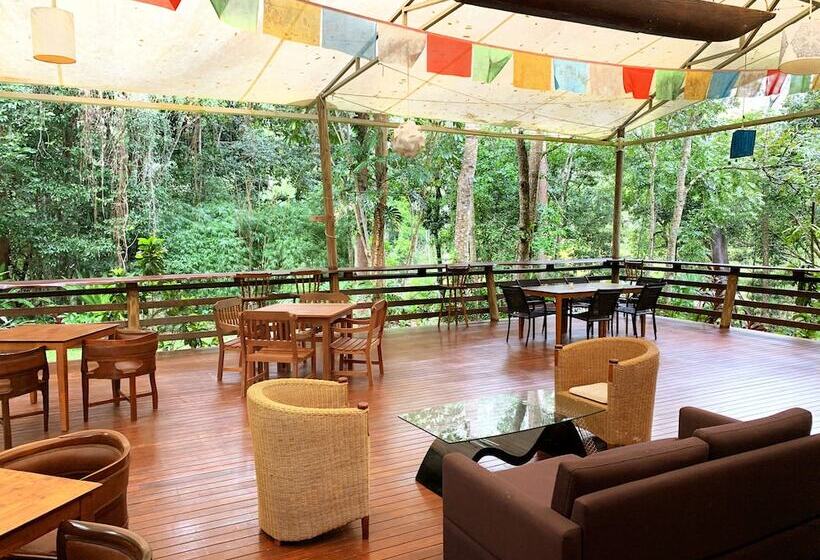 ホテル Cedar Park Rainforest Resort