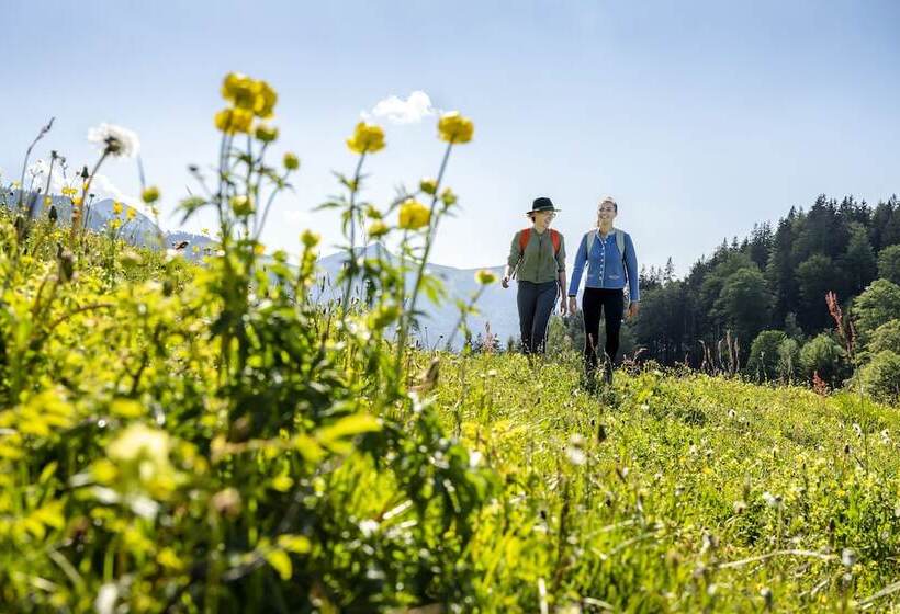 هتل Der Westerhof Tegernsee