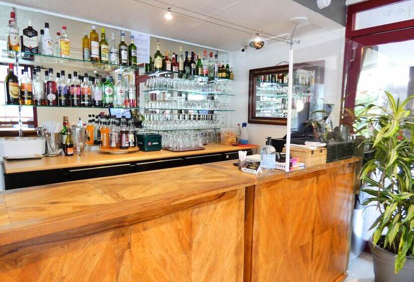 호텔 Hôtel Du Parc Limoges & Restaurant Le Temps D Une Pause