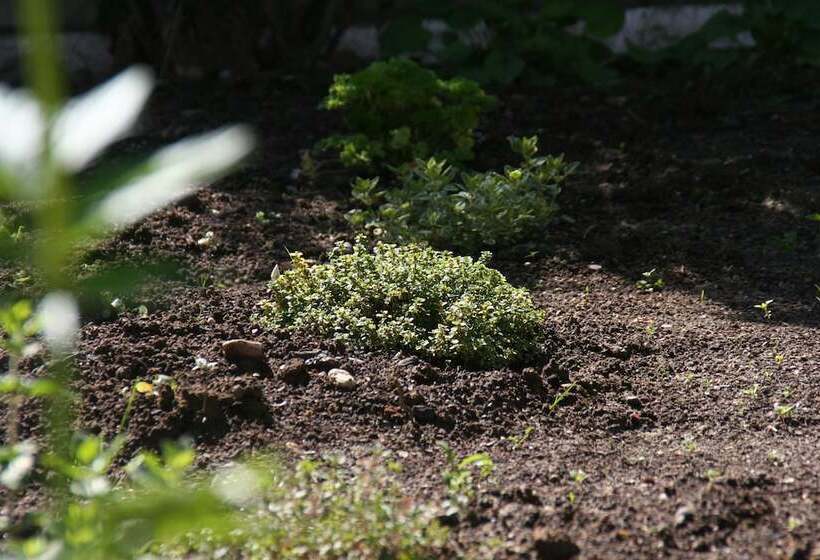 בית מלון כפרי St. Pierre