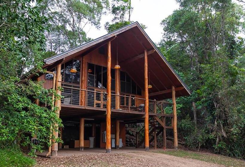 בית מלון כפרי The Canopy Rainforest Treehouses & Wildlife Sanctuary