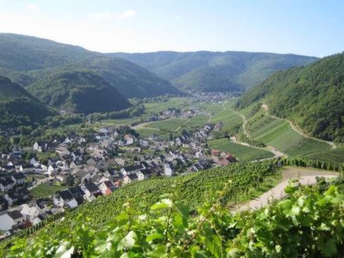 酒店 Restaurant Zum Sänger An Der Ahr