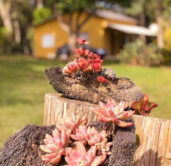 ペンション Pousada Sitio Da Terra E Arte