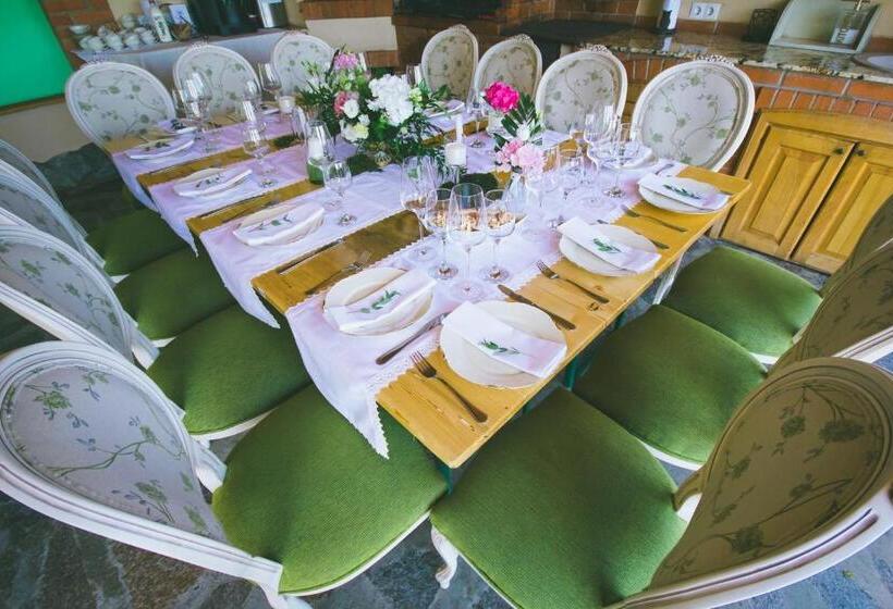 פנסיון Cabana Dintre Vii