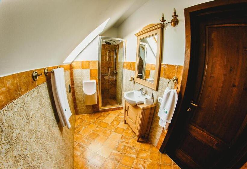 פנסיון Cabana Dintre Vii