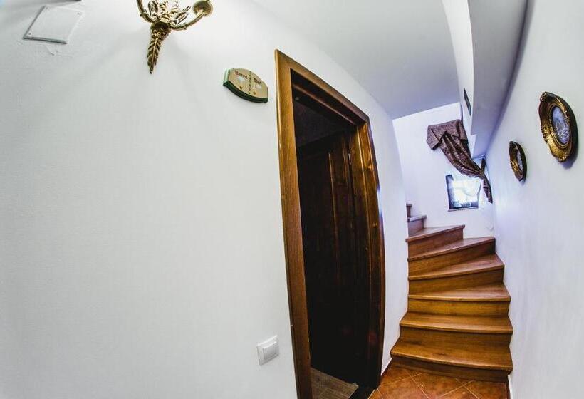 פנסיון Cabana Dintre Vii