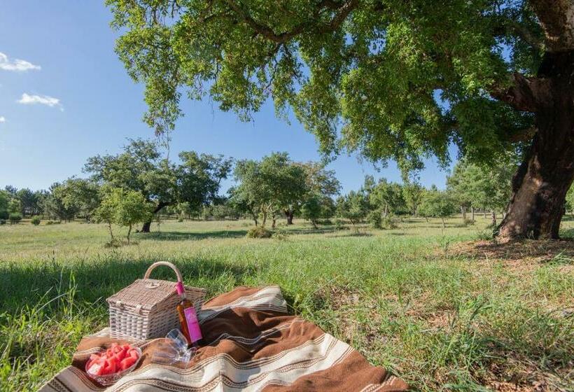 بنسيون Herdade Do Vale Da Abelheira By Mystay