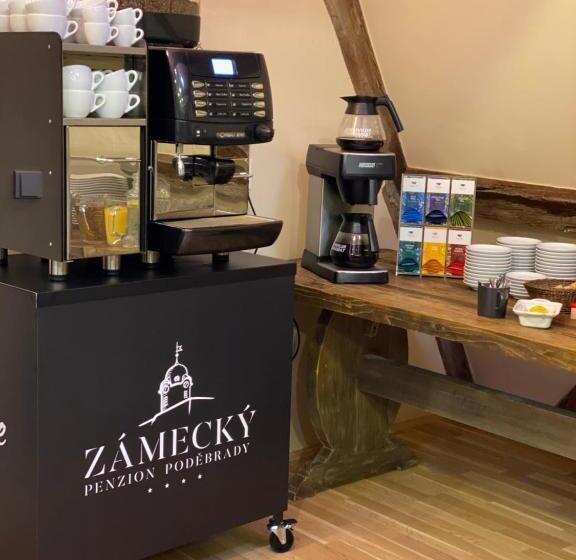 پانسیون Zámecký Penzion