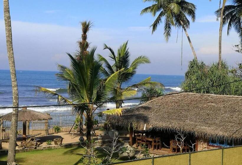 住宿加早餐  Thoduwawa Beach Villa