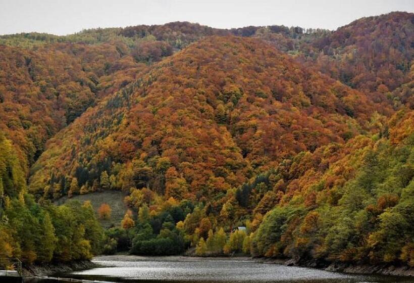 پانسیون Mateo Transalpina