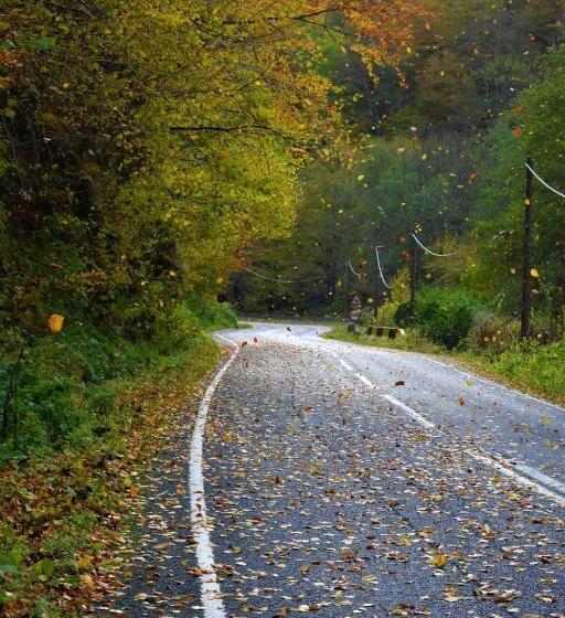 پانسیون Mateo Transalpina