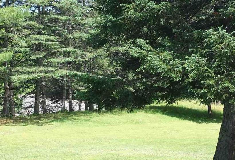 فندق صغير Inn By The River
