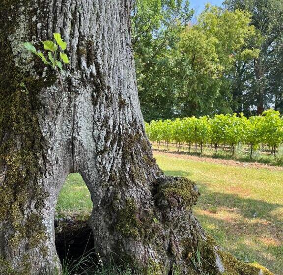 مبيت وإفطار Chateau Carbonneau