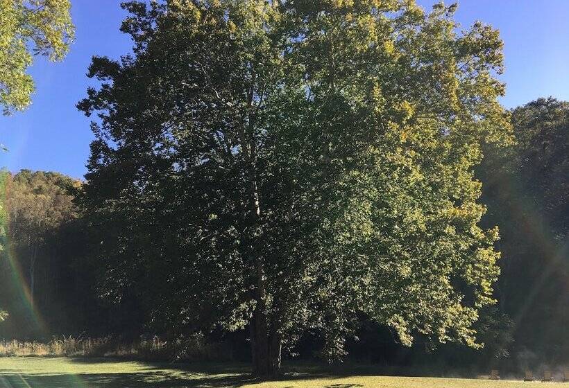 ベッドアンドブレックファースト River House Inn