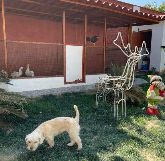 ホテル Costa Andina