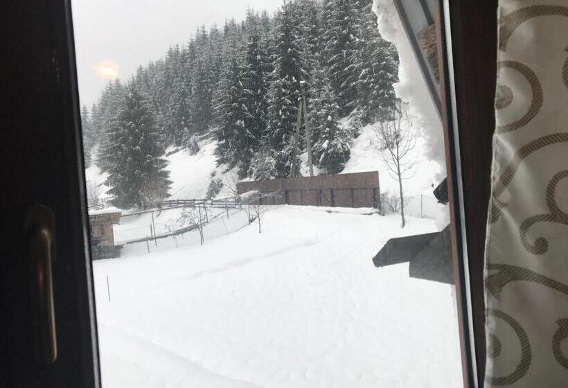 ペンション Shelest Vody