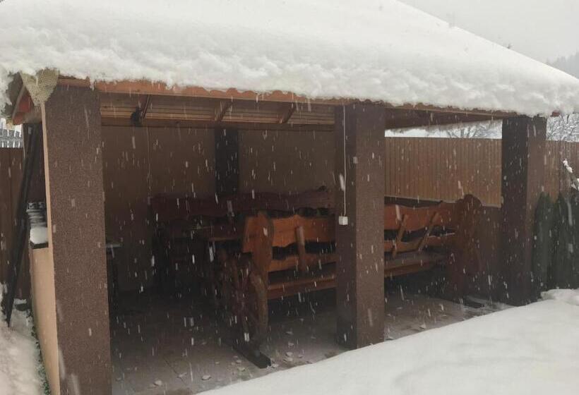 ペンション Shelest Vody