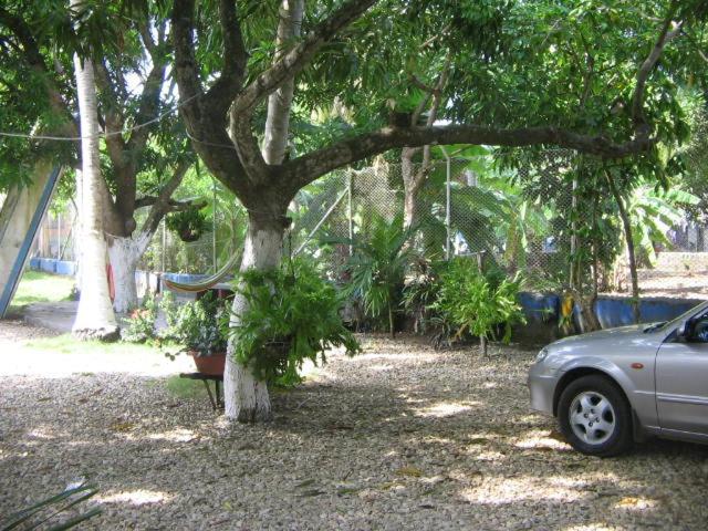 هاستل Hostal Roldan