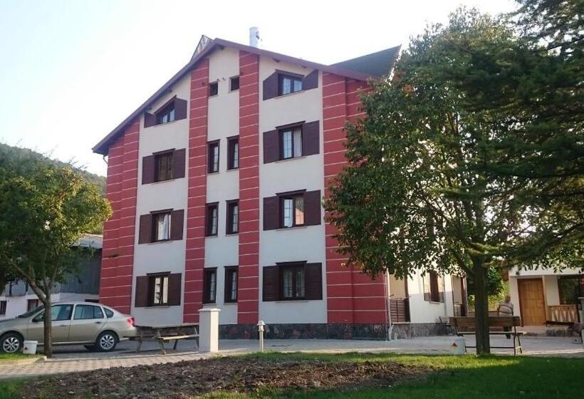 Mekan Ilica Apart Otel