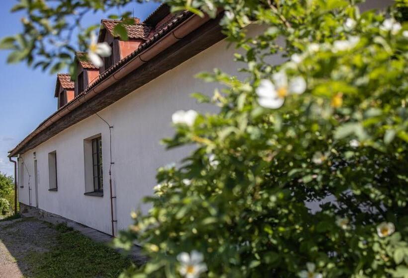 پانسیون Hájenka Strakov