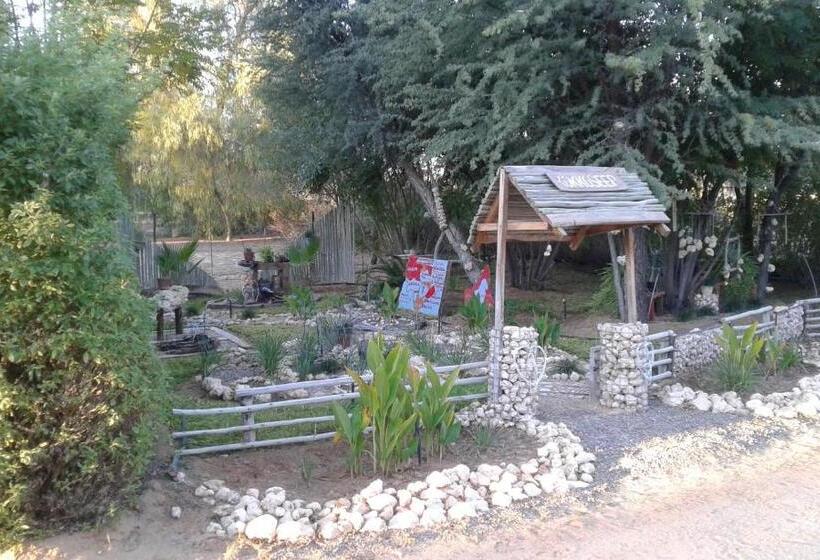 ペンション Kalahari Camelthorn Guesthouse And Camping